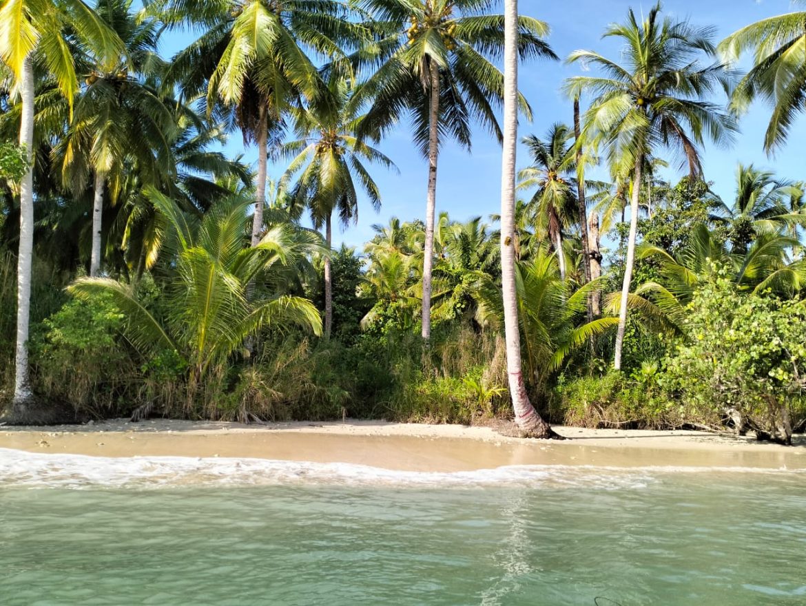 Mentawai Homepage Cheapest Surf Trip THE WAVE BUDGET SURF CAMP. LETS